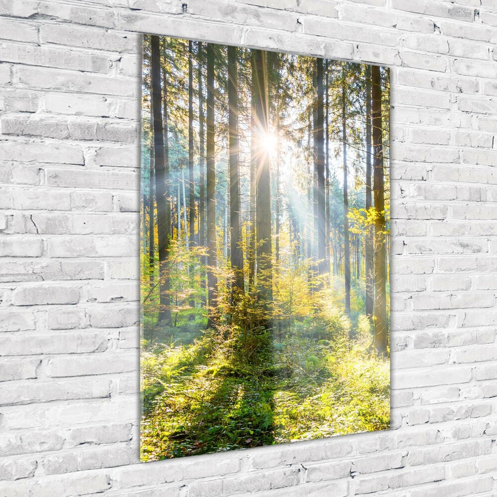 Print on acrylic The sun in the forest