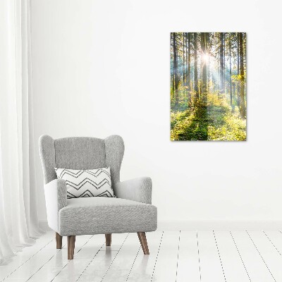 Print on acrylic The sun in the forest