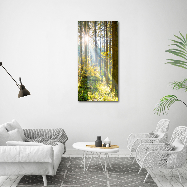 Print on acrylic The sun in the forest