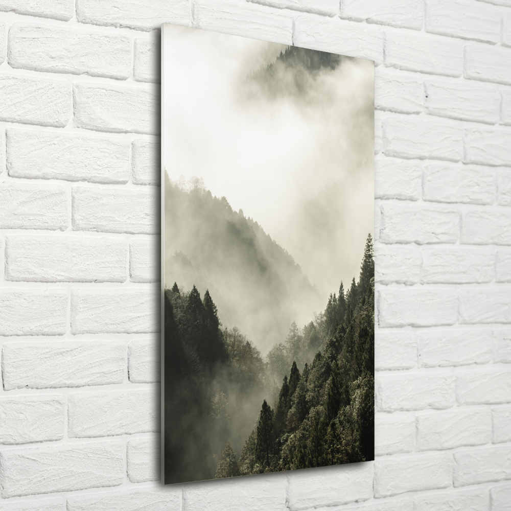 Print on acrylic Fog over the forest