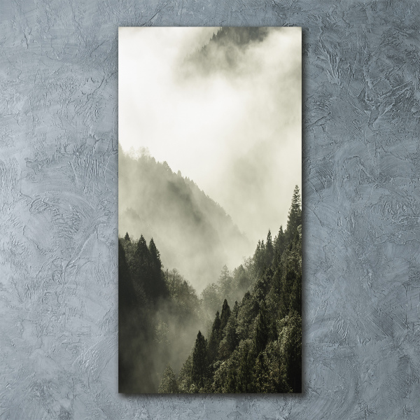 Print on acrylic Fog over the forest