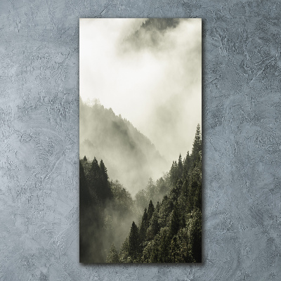 Print on acrylic Fog over the forest