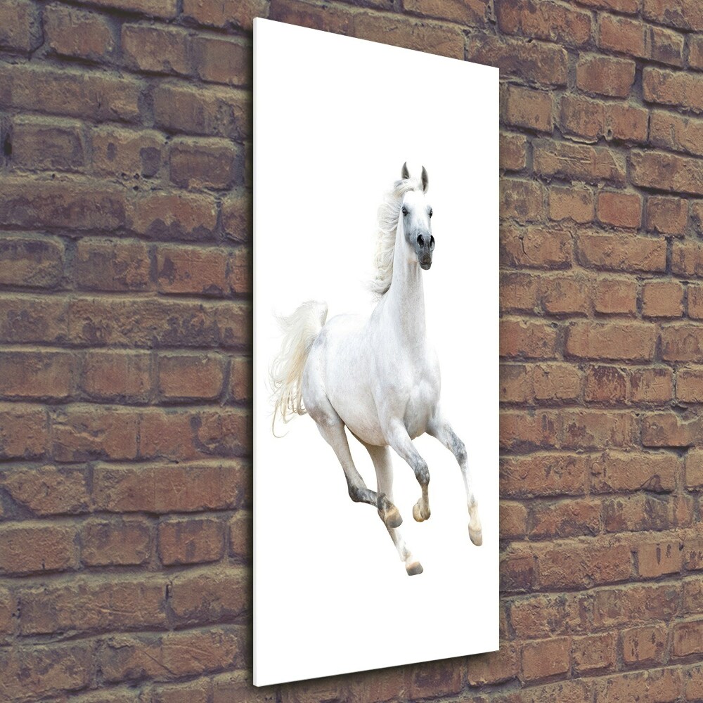 Print on acrylic White horse at a gallop