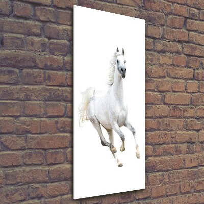 Print on acrylic White horse at a gallop