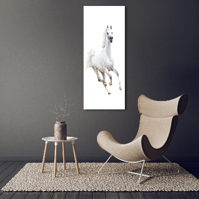 Print on acrylic White horse at a gallop