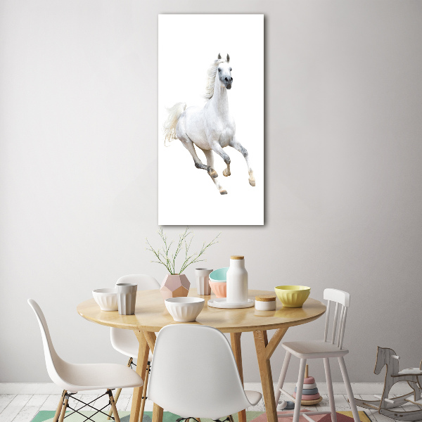 Print on acrylic White horse at a gallop