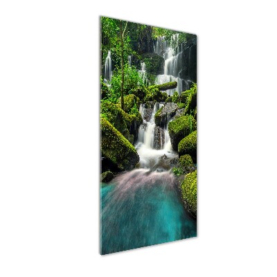 Wall art acrylic Waterfall in the jungle