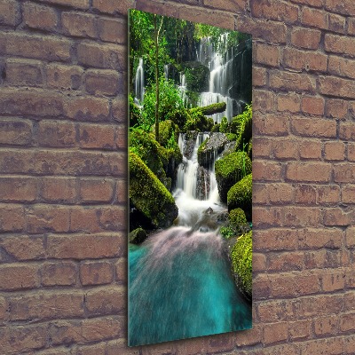 Wall art acrylic Waterfall in the jungle