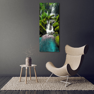 Wall art acrylic Waterfall in the jungle