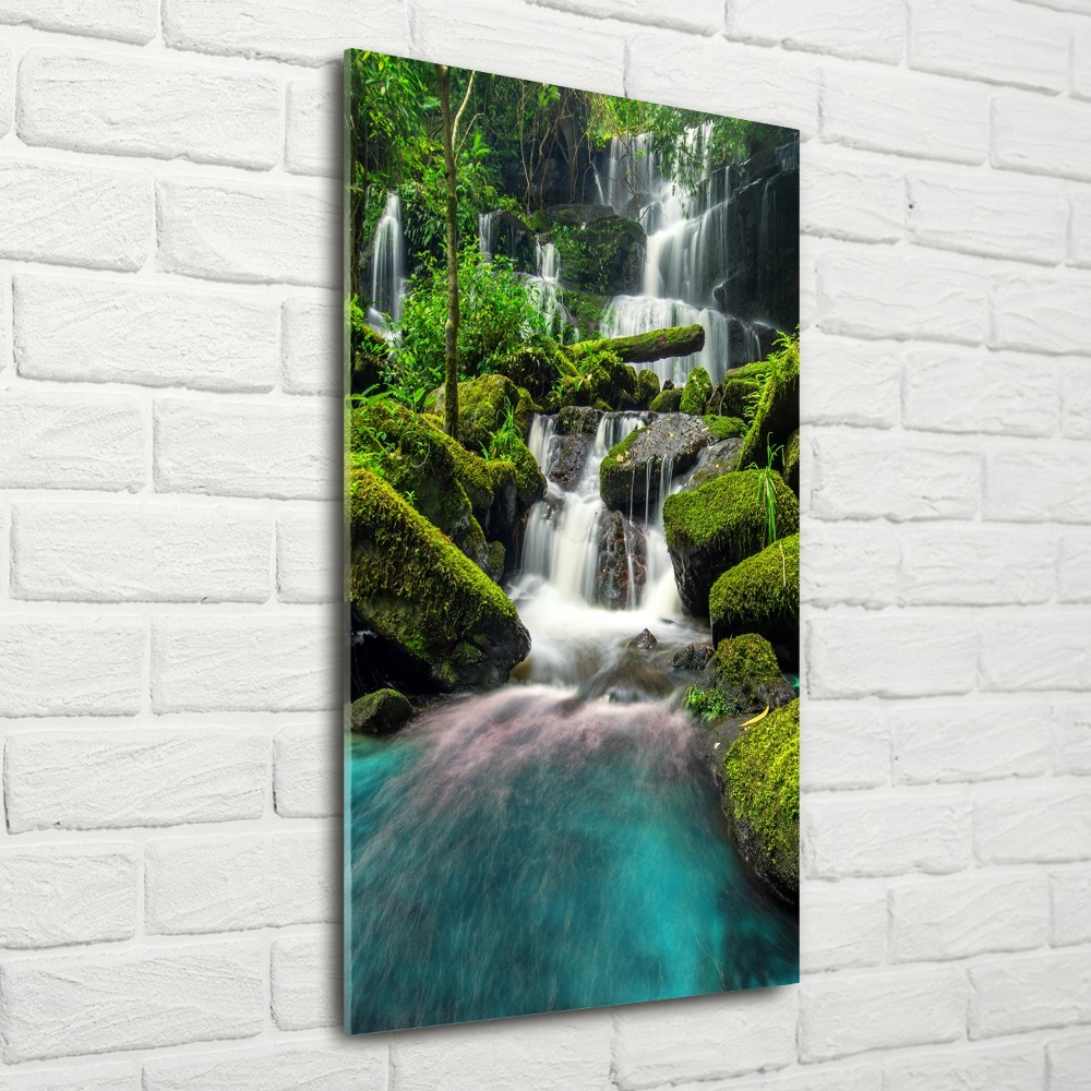 Wall art acrylic Waterfall in the jungle