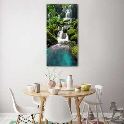 Wall art acrylic Waterfall in the jungle