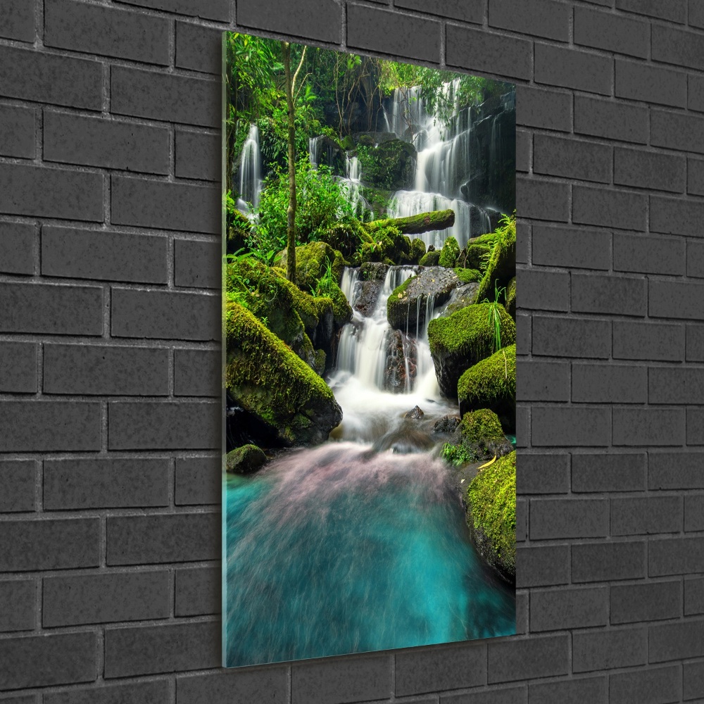 Wall art acrylic Waterfall in the jungle