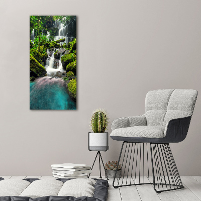 Wall art acrylic Waterfall in the jungle