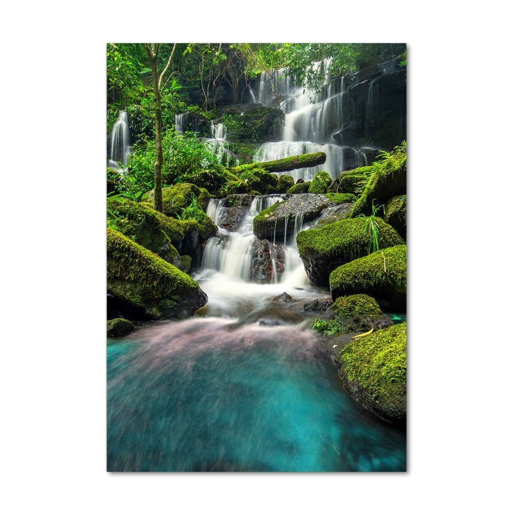 Wall art acrylic Waterfall in the jungle