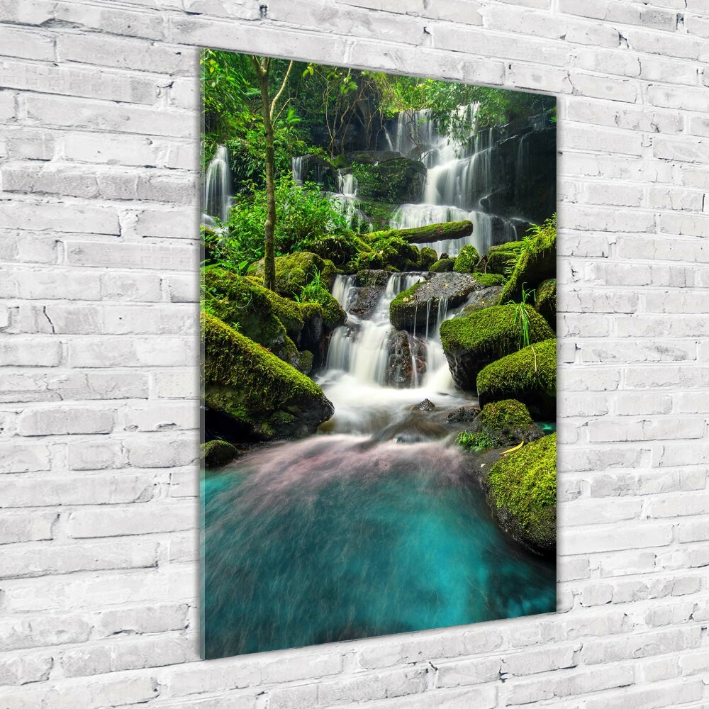 Wall art acrylic Waterfall in the jungle