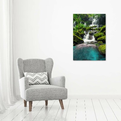 Wall art acrylic Waterfall in the jungle