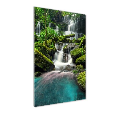 Wall art acrylic Waterfall in the jungle