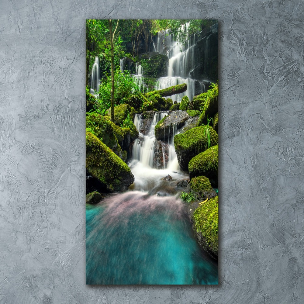 Wall art acrylic Waterfall in the jungle