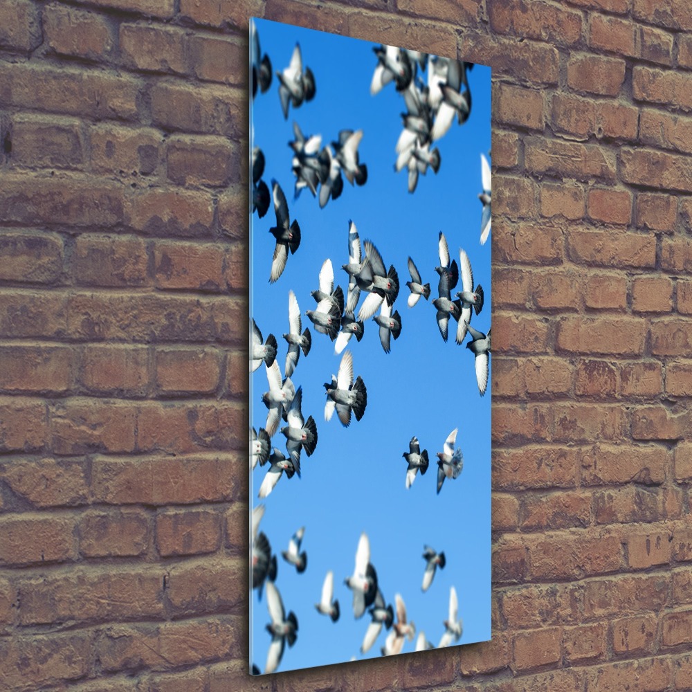 Wall art acrylic Pigeons in the sky