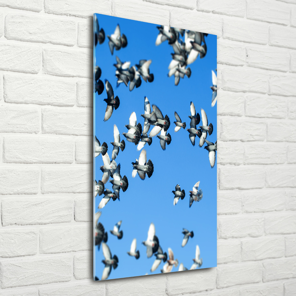 Wall art acrylic Pigeons in the sky