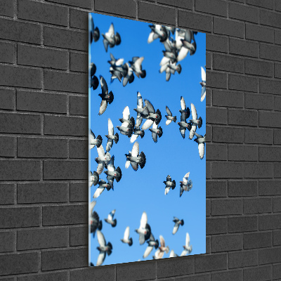 Wall art acrylic Pigeons in the sky