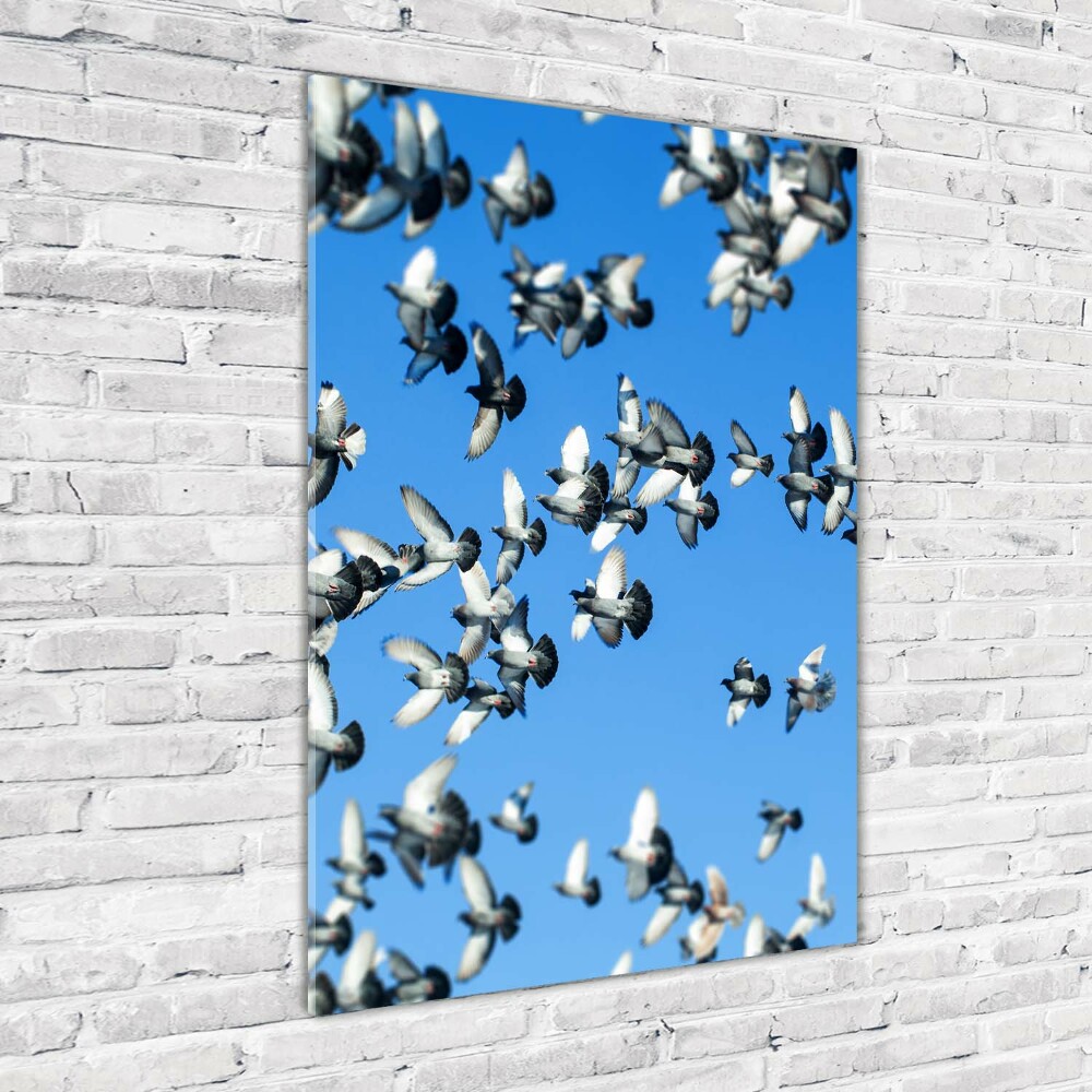 Wall art acrylic Pigeons in the sky