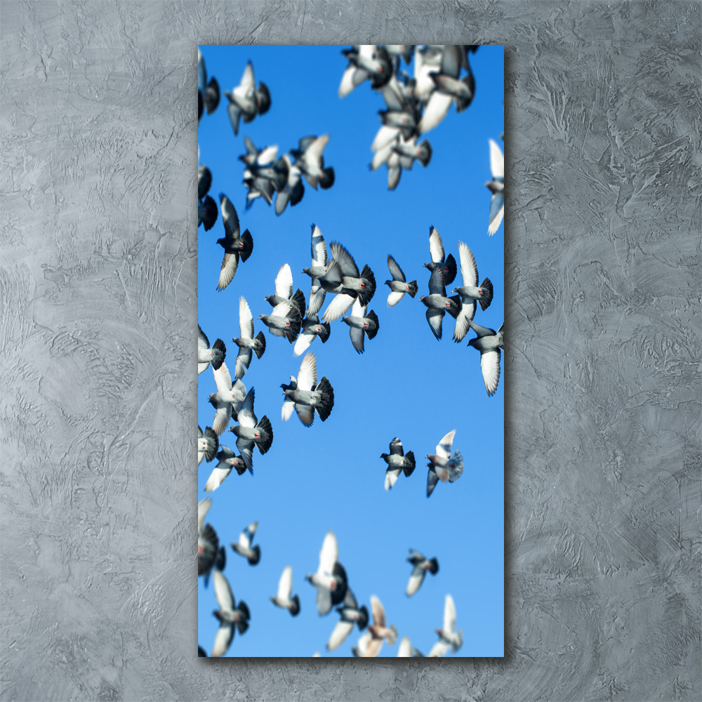 Wall art acrylic Pigeons in the sky