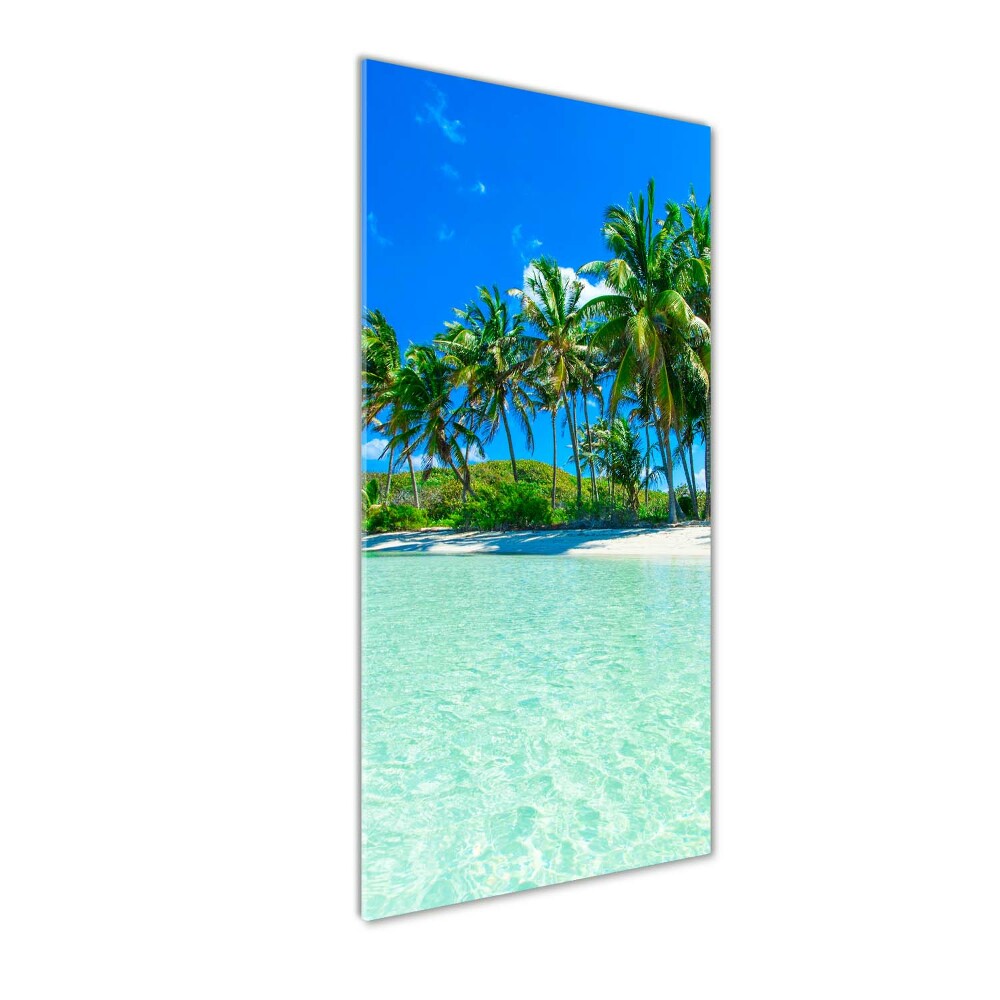 Acrylic wall art Tropical beach