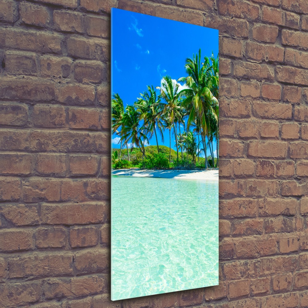 Acrylic wall art Tropical beach