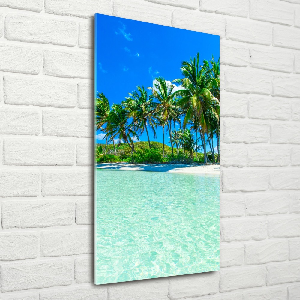 Acrylic wall art Tropical beach