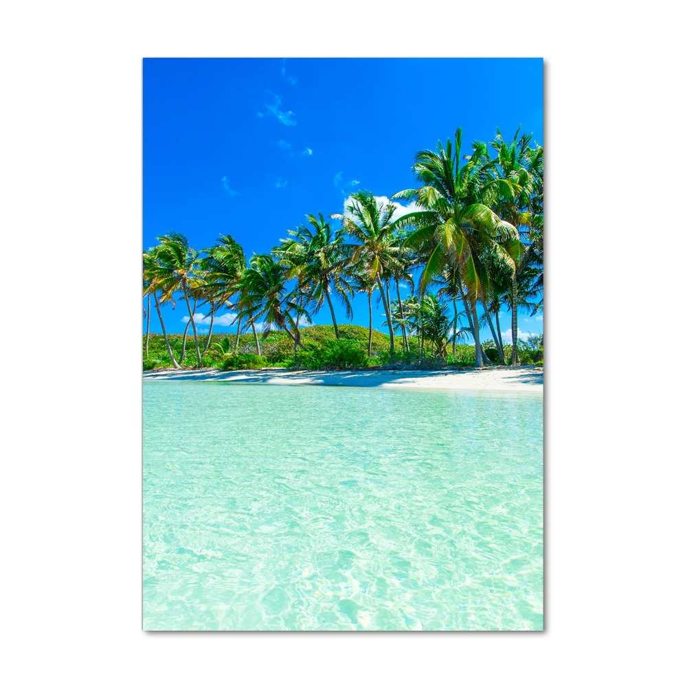 Acrylic wall art Tropical beach