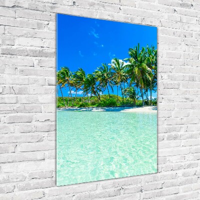 Acrylic wall art Tropical beach