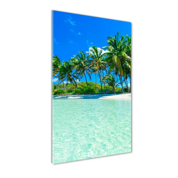 Acrylic wall art Tropical beach