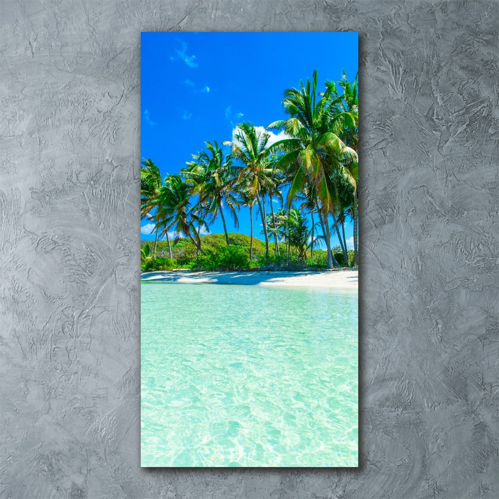 Acrylic wall art Tropical beach