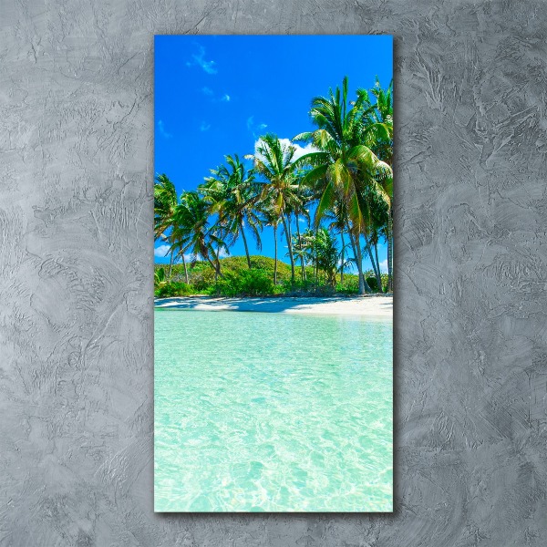 Acrylic wall art Tropical beach