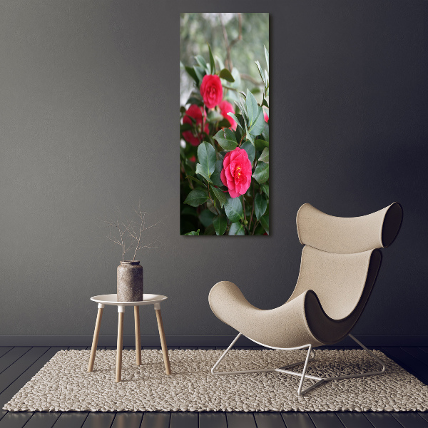 Print on acrylic Camellia