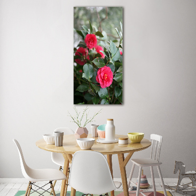 Print on acrylic Camellia