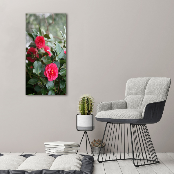 Print on acrylic Camellia