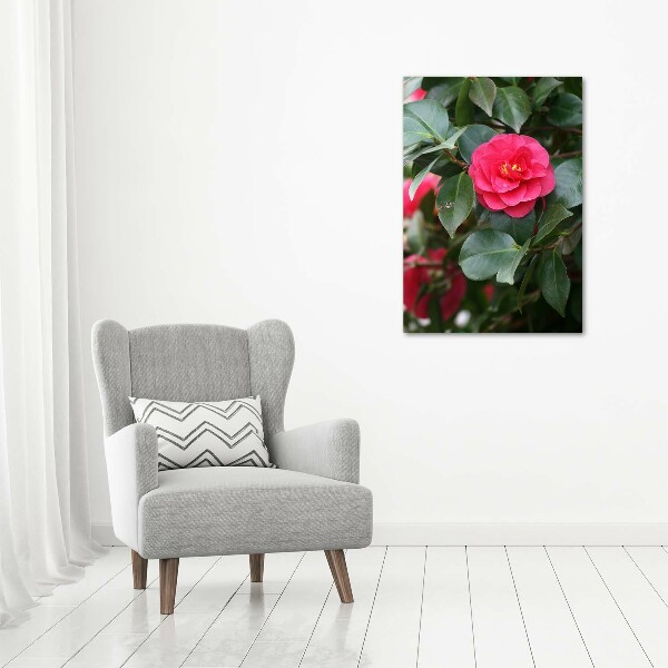 Print on acrylic Camellia