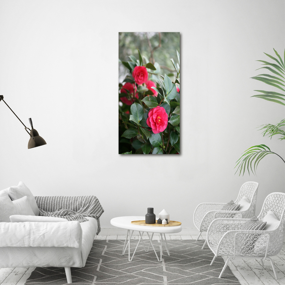 Print on acrylic Camellia