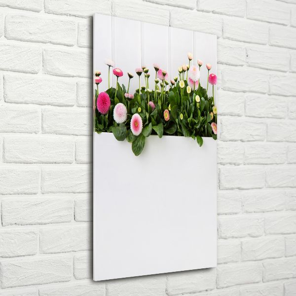 Wall art acrylic Pink daisies