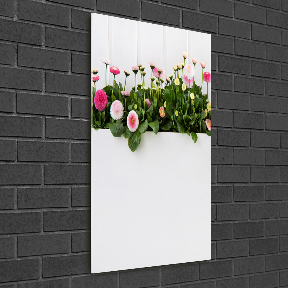 Wall art acrylic Pink daisies