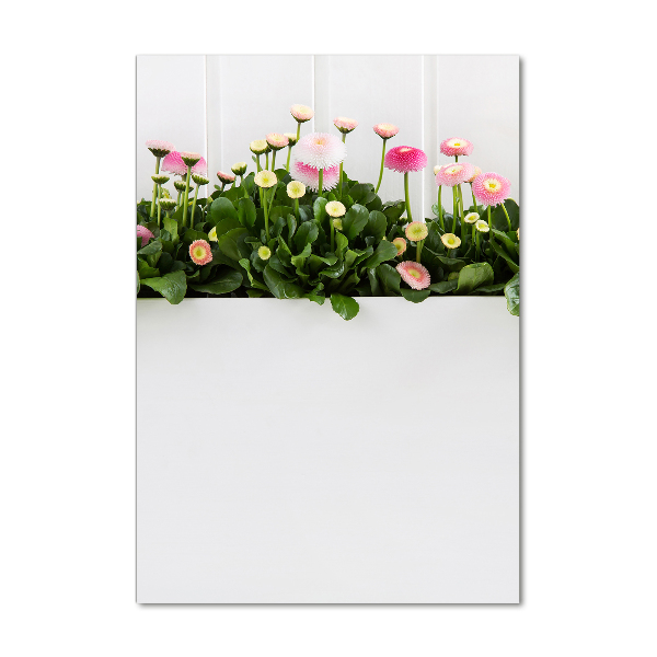 Wall art acrylic Pink daisies