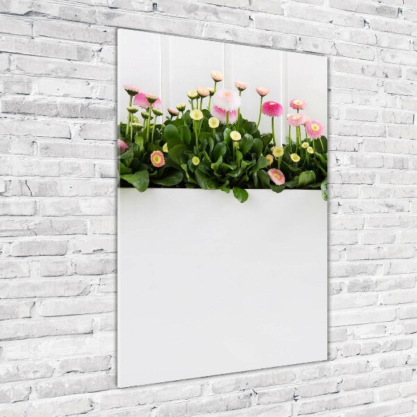 Wall art acrylic Pink daisies