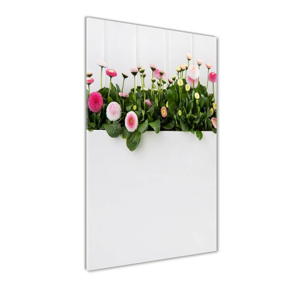 Wall art acrylic Pink daisies