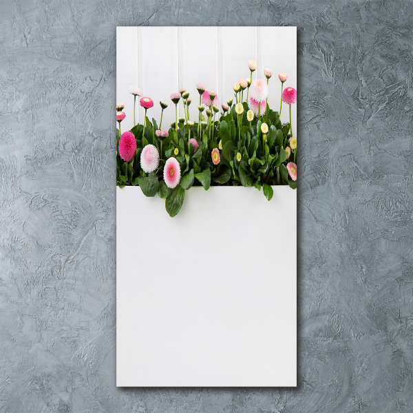 Wall art acrylic Pink daisies