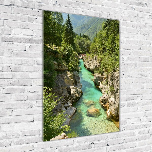 Print on acrylic Mountain stream