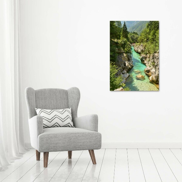 Print on acrylic Mountain stream