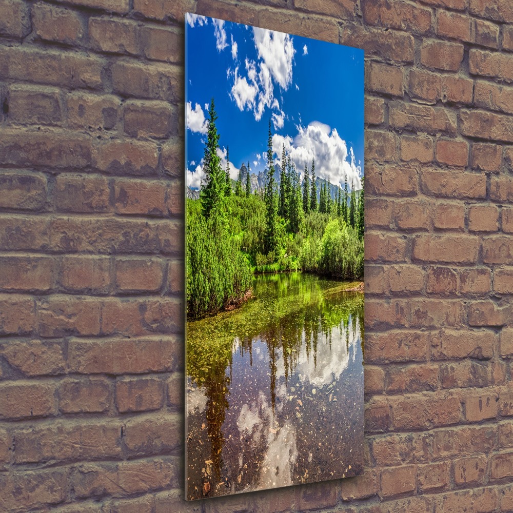 Print on acrylic Lake in the mountains