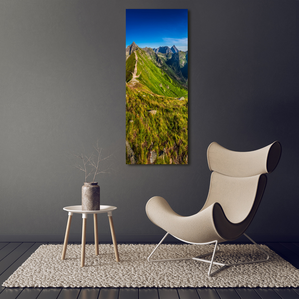 Acrylic wall art Tatra Mountains